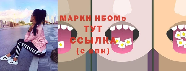 прущий лед Арсеньев