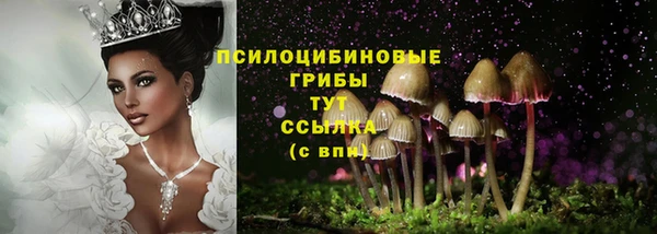 прущий лед Арсеньев