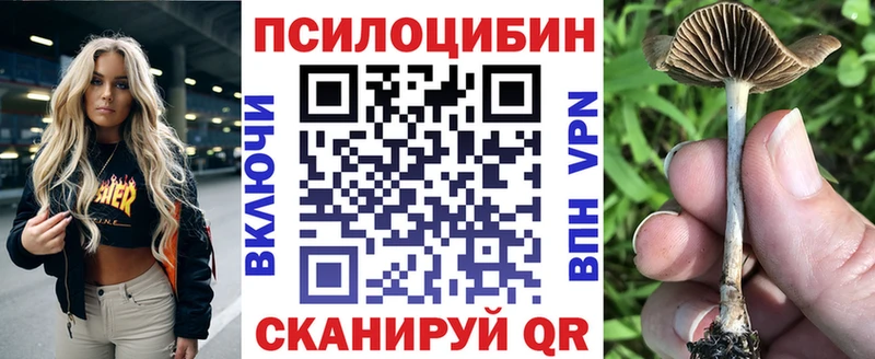 Псилоцибиновые грибы мухоморы  ОМГ ОМГ ссылки  Шуя 